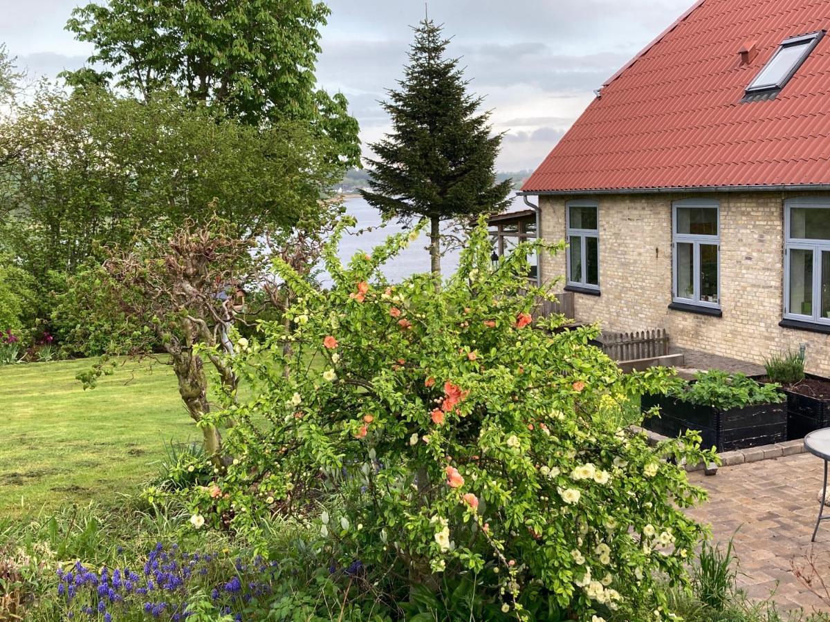 Sønderborg Bogebjerggard Bed & Breakfast المظهر الخارجي الصورة