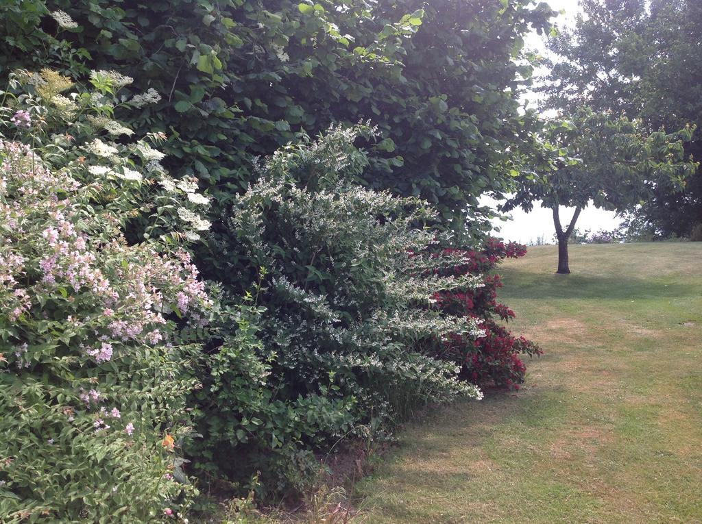 Sønderborg Bogebjerggard Bed & Breakfast المظهر الخارجي الصورة