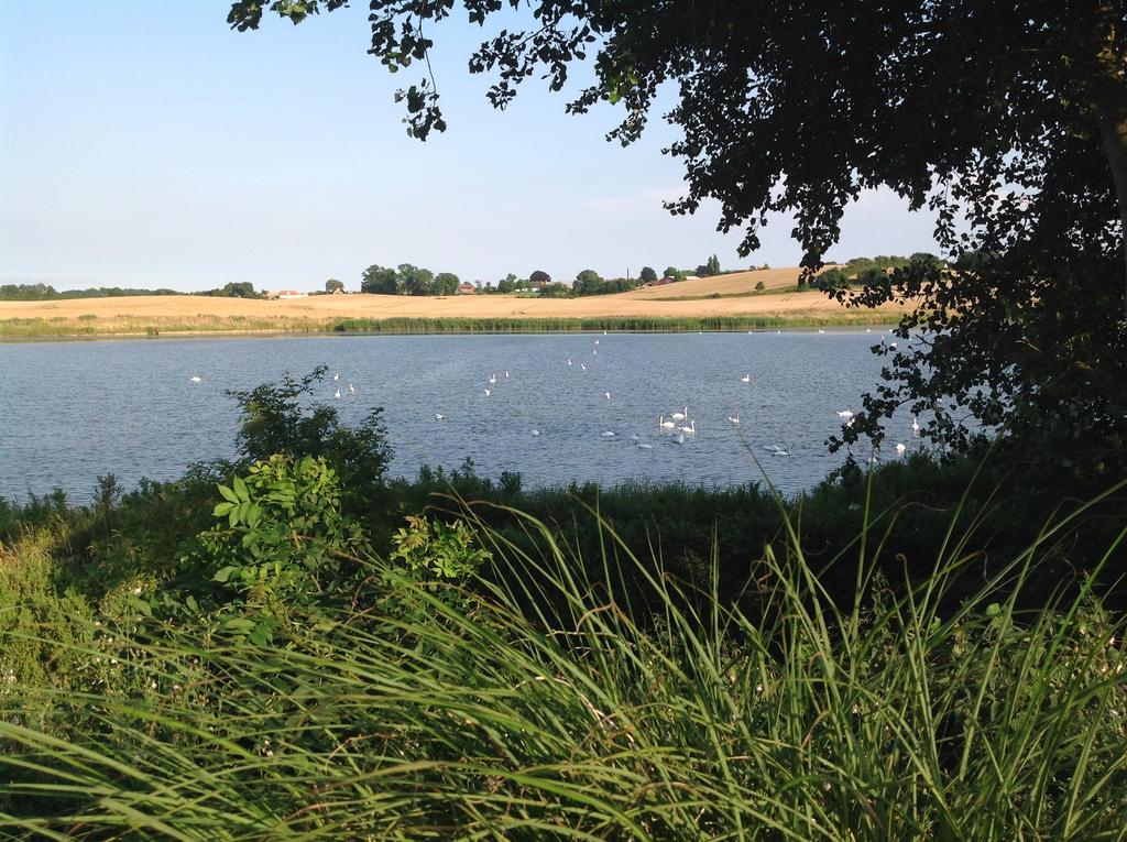 Sønderborg Bogebjerggard Bed & Breakfast المظهر الخارجي الصورة