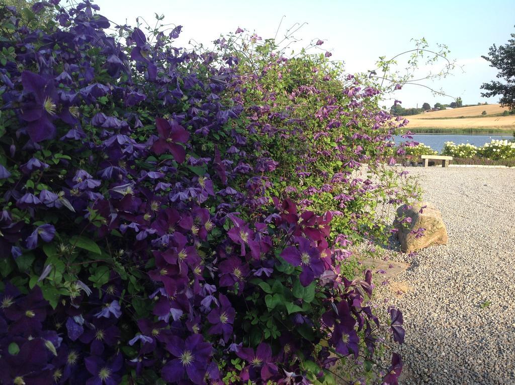 Sønderborg Bogebjerggard Bed & Breakfast المظهر الخارجي الصورة