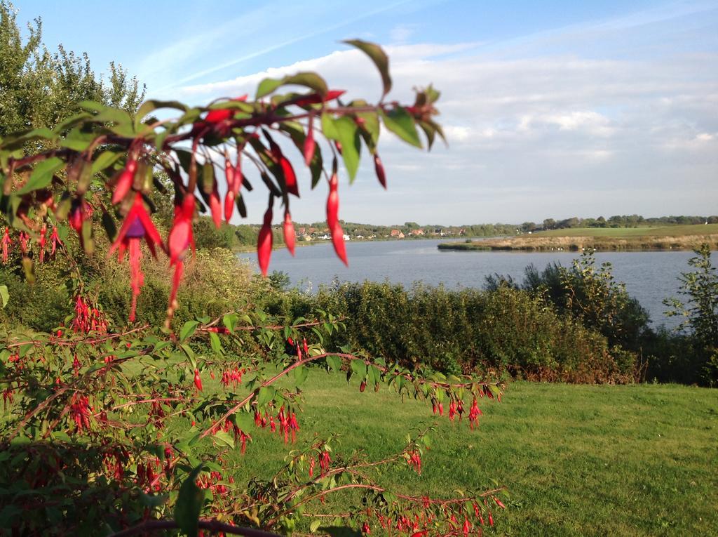 Sønderborg Bogebjerggard Bed & Breakfast المظهر الخارجي الصورة