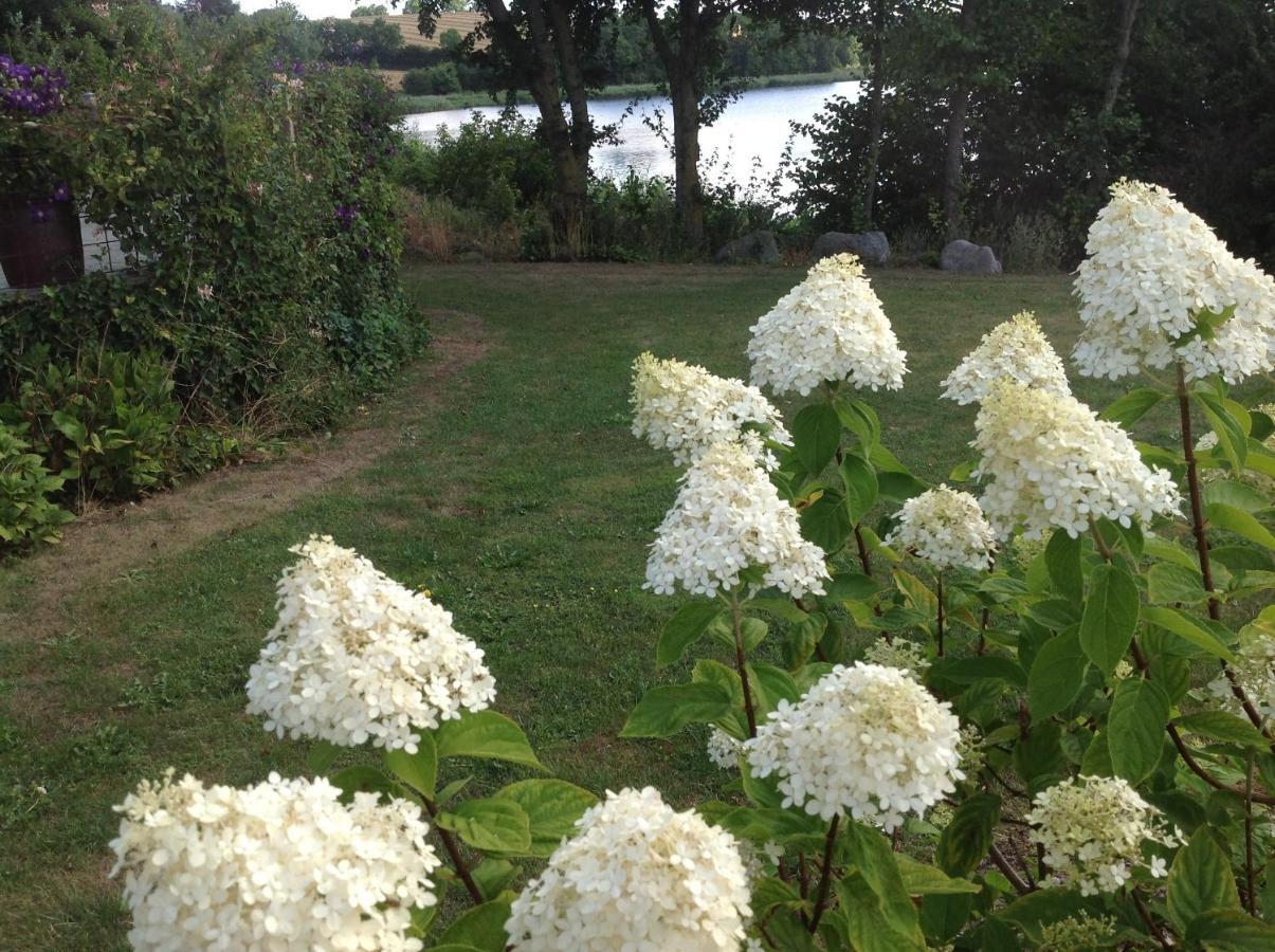 Sønderborg Bogebjerggard Bed & Breakfast المظهر الخارجي الصورة