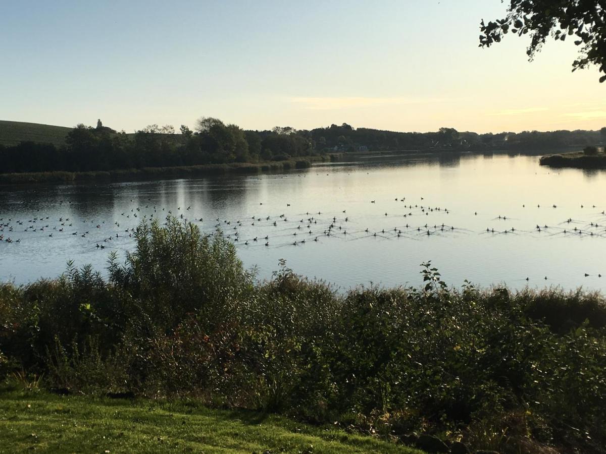 Sønderborg Bogebjerggard Bed & Breakfast المظهر الخارجي الصورة